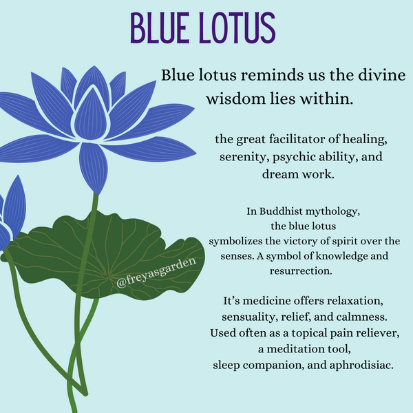 Blue lotus flowers 28g